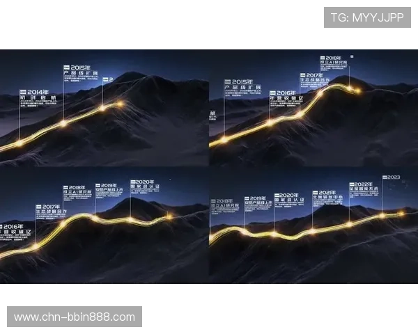 宝盈集团主要从事哪些行业业务，企业背景和发展历程全面解析