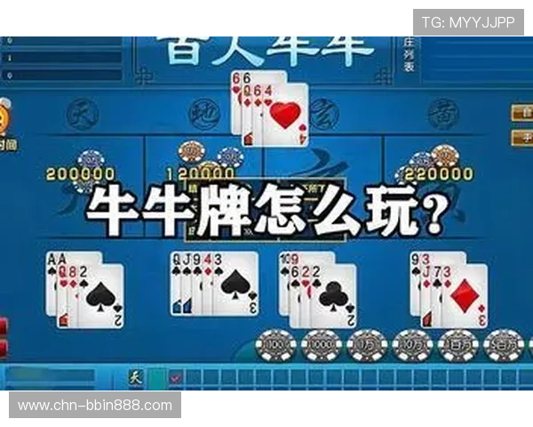 斗牛牛纸牌游戏最新版本上线带你体验最刺激的对战乐趣与丰富的奖励机制