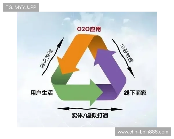 多宝电子行业分析:市场细分与用户需求多样化带来的行业新机遇 多宝电子行业分析:市场细分与用户需求多样化带来的行业新机遇
