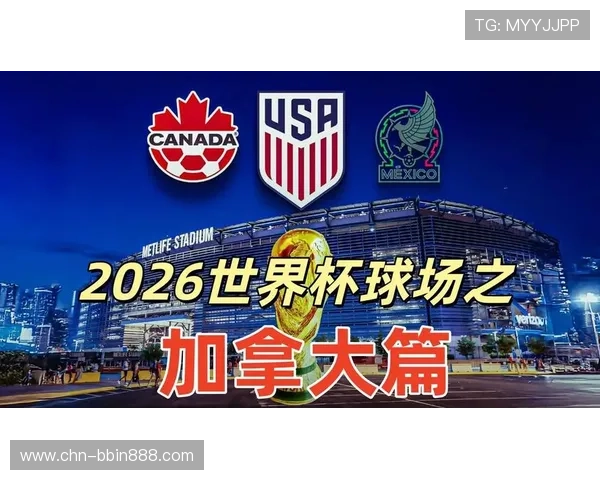 世界杯瑞士加拿大比赛分析与竞猜技巧分享提升你的竞猜策略和获胜几率