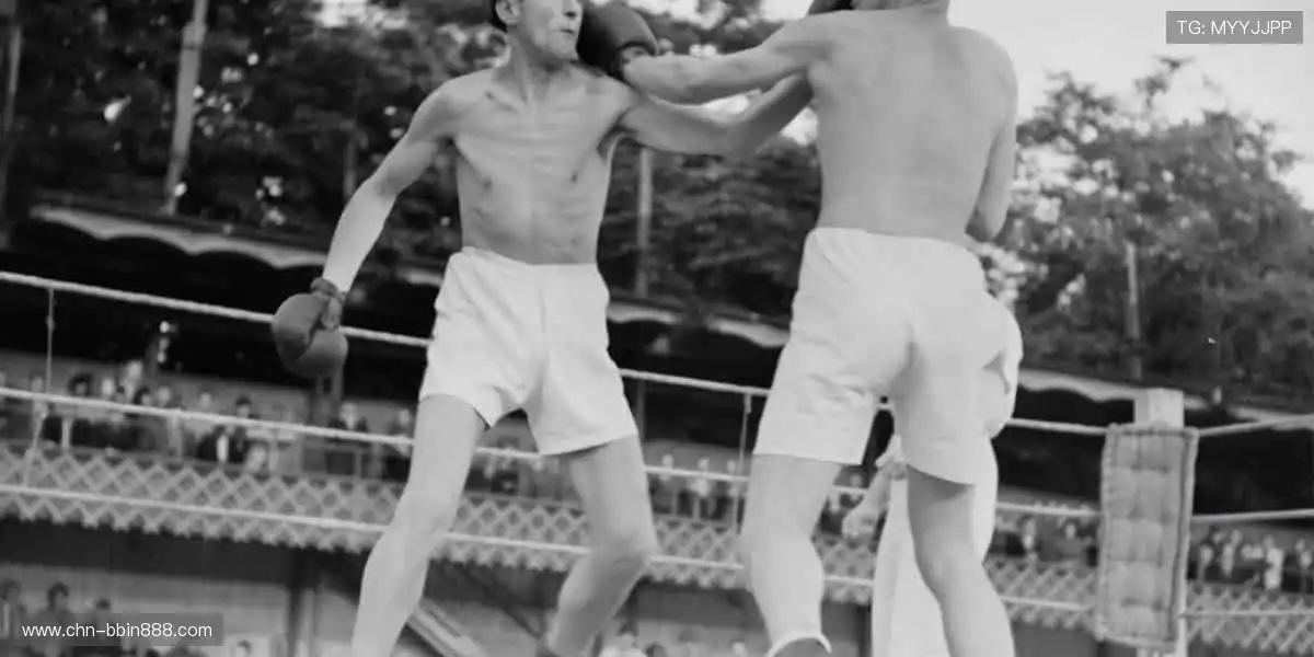 高清多品类盛宴：手机真人视讯麻将，升级娱乐中